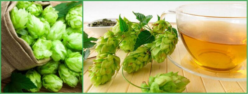 décoction de cônes de houblon pour la puissance après 50