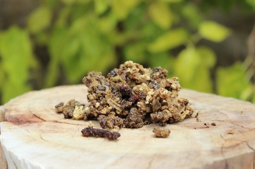 propolis pour augmenter la puissance