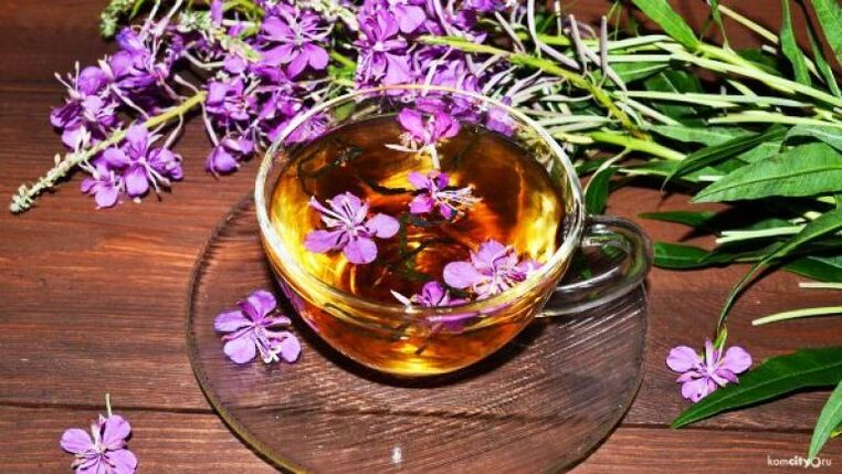 Une décoction de feuilles et de fleurs d'épilobe pour le traitement des maladies masculines. 