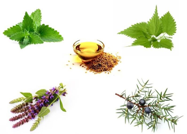 Menthe, ortiga, thym, genévrier et huile de lin