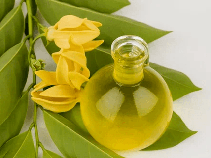 Aromathérapie pour améliorer le pouvoir
